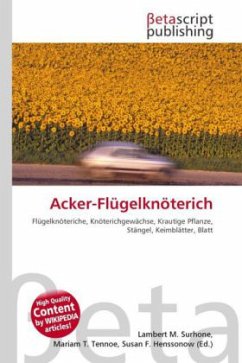 Acker-Flügelknöterich