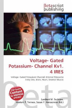 Voltage- Gated Potassium- Channel Kv1. 4 IRES