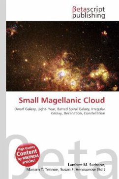 Small Magellanic Cloud