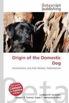 Origin of the Domestic Dog