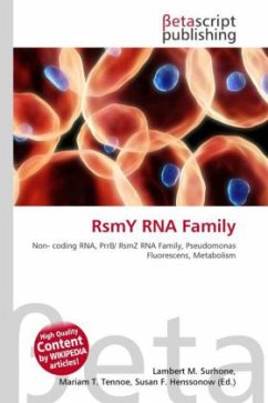 RsmY RNA Family