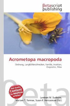 Acrometopa macropoda