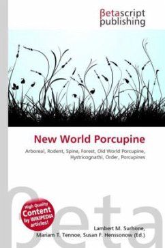 New World Porcupine