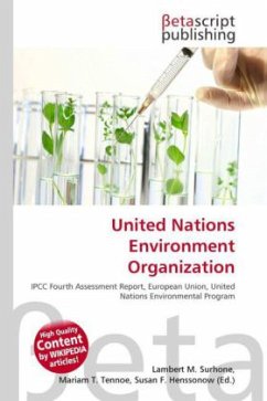 United Nations Environment Organization