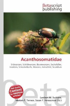 Acanthosomatidae Acanthosomatidae