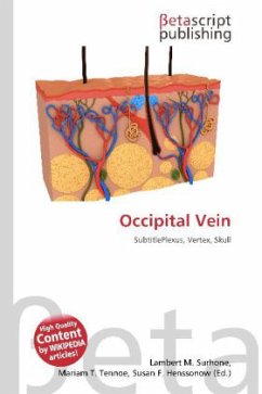 Occipital Vein