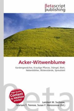 Acker-Witwenblume