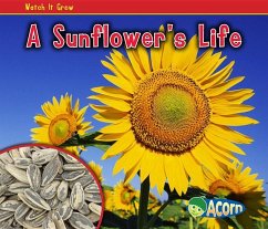 A Sunflower's Life - Dickmann, Nancy