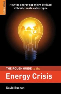 Cover Rough Guide to the Energy Crisis