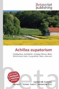 Achillea eupatorium