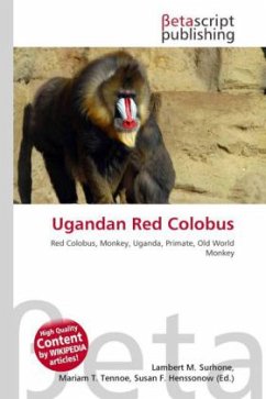 Ugandan Red Colobus