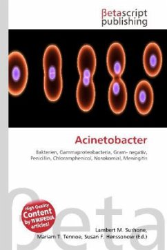 Acinetobacter