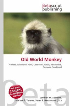 Old World Monkey