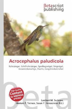 Acrocephalus paludicola