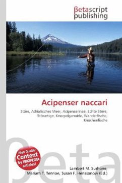 Acipenser naccari