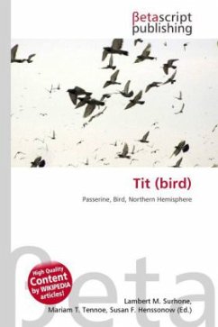 Tit (bird)