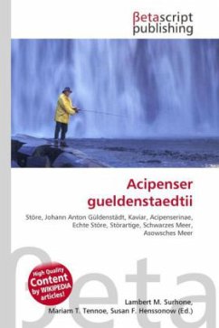 Acipenser gueldenstaedtii