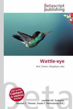 Wattle-eye