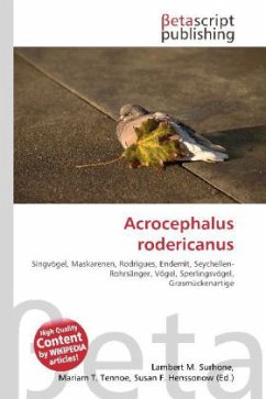 Acrocephalus rodericanus