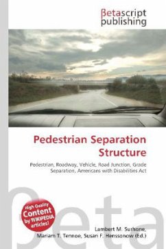 Pedestrian Separation Structure