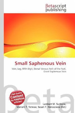 Small Saphenous Vein