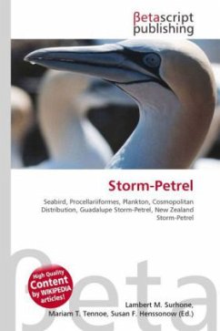 Storm-Petrel