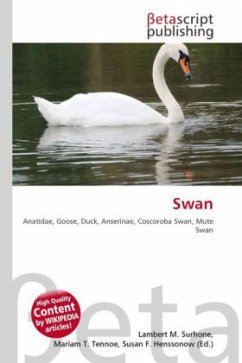 Swan