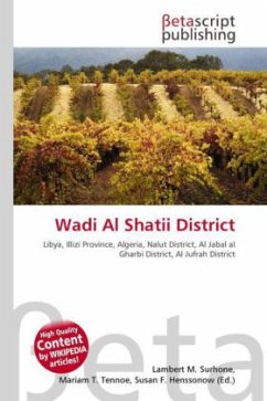 Wadi Al Shatii District