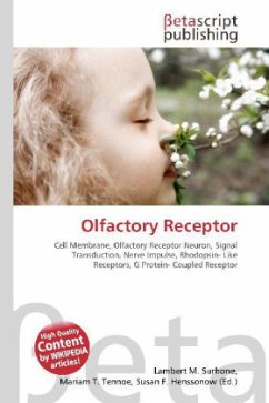 Olfactory Receptor