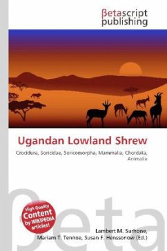 Ugandan Lowland Shrew