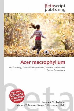 Cover Acer macrophyllum