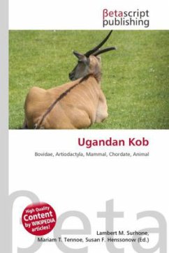 Ugandan Kob