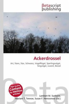 Ackerdrossel