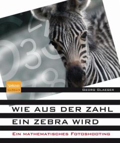 Wie aus der Zahl ein Zebra wird - Glaeser, Georg