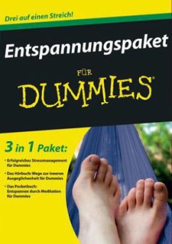 Mein Entspannungspaket für Dummies, 2 Bände und 1 Audio-CD - Elkin, Allen; Bodian, Stephan; Mumford, Jeni