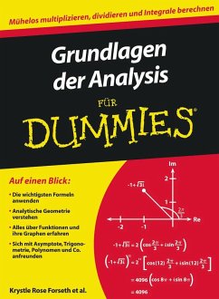 Grundlagen der Analysis für Dummies - Forseth, Krystle Rose; Burger, Christopher; Gilman, Michelle Rose; Rumsey, Deborah; Ryan, Mark