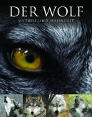 Der Wolf