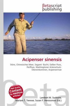Acipenser sinensis