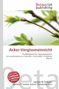 Acker-Vergissmeinnicht