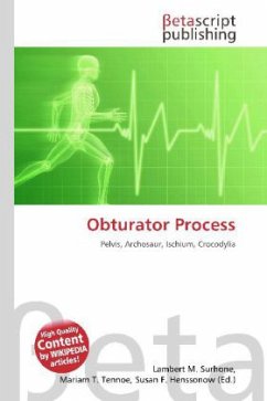 Obturator Process