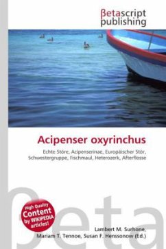 Acipenser oxyrinchus