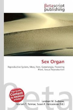 Sex Organ