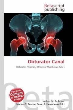 Obturator Canal