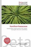 Xanthorrhoeaceae