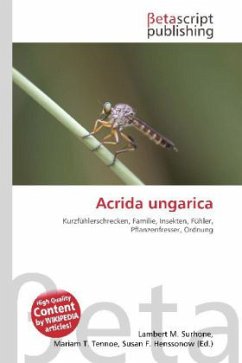 Acrida ungarica