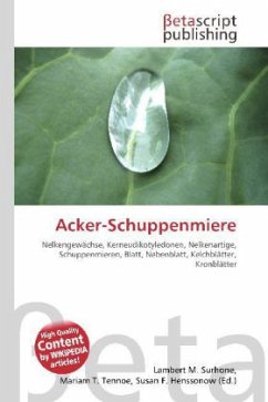 Acker-Schuppenmiere