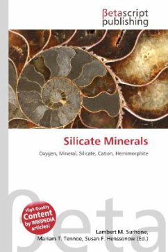 Cover Silicate Minerals