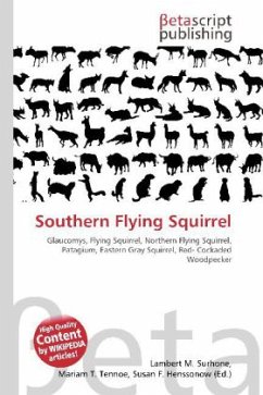 Southern Flying Squirrel