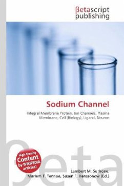 Sodium Channel