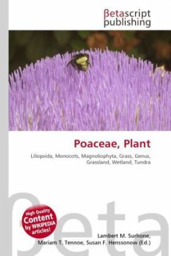 Poaceae, Plant